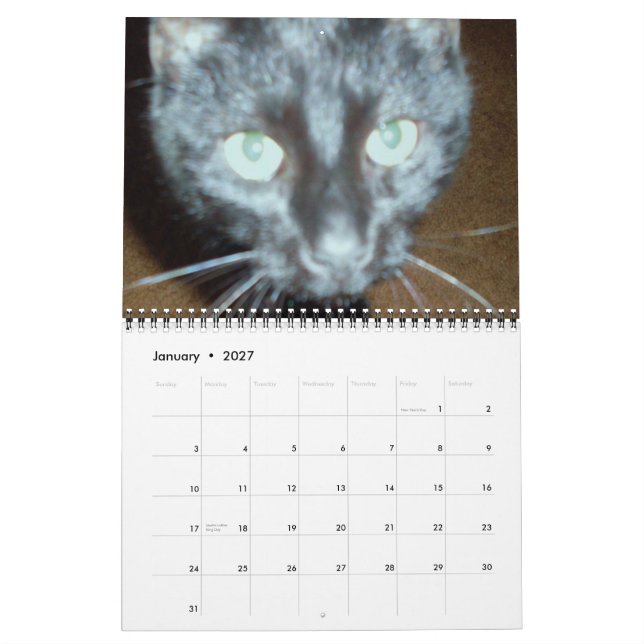 O calendário CAT PRETO (Jan 2027)