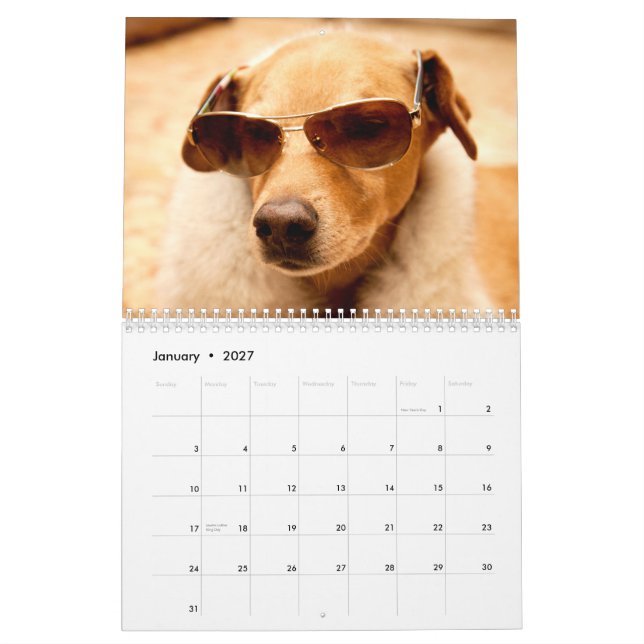 O calendário de 2013 mandris (Jan 2027)