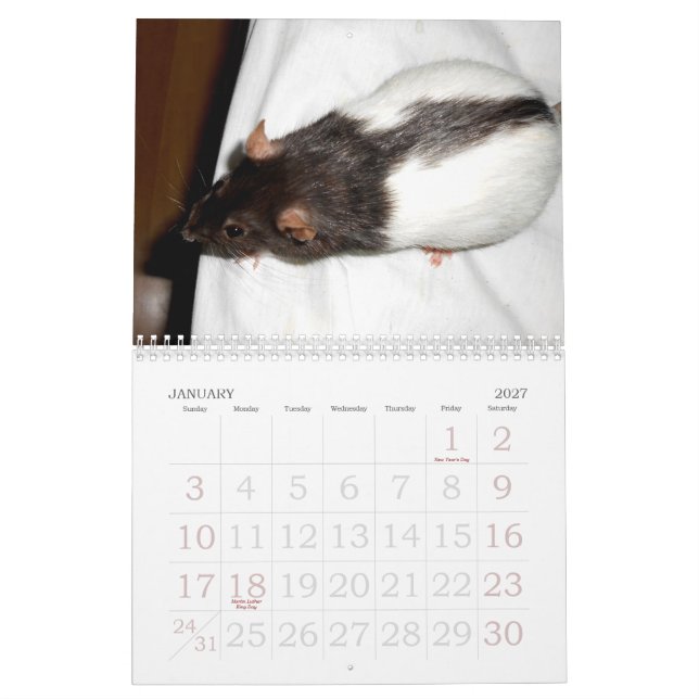 O calendário de 2015 do Rat Lover (Jan 2027)