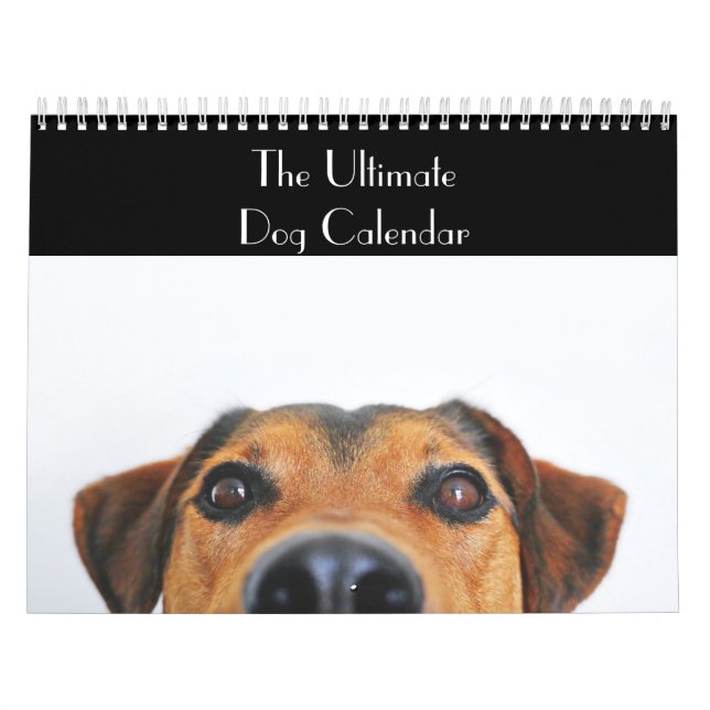 O Calendário de Cães Mais Avançado (Capa)