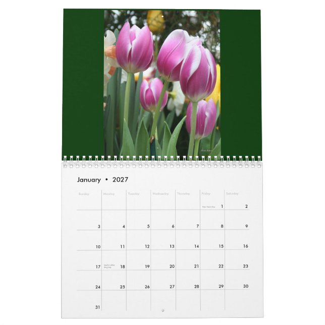 O calendário de Karen!  2011 (Jan 2027)