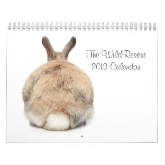 O calendário de WildRescue 2013!