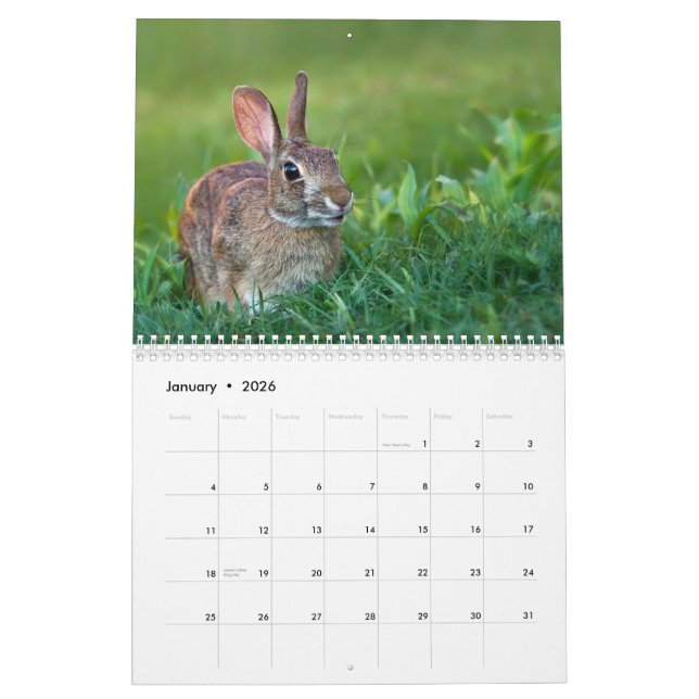 O calendário de WildRescue 2013! (Jan 2026)
