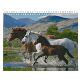 O calendário do amante do cavalo