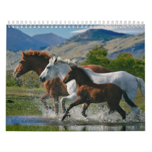 O calendário do amante do cavalo