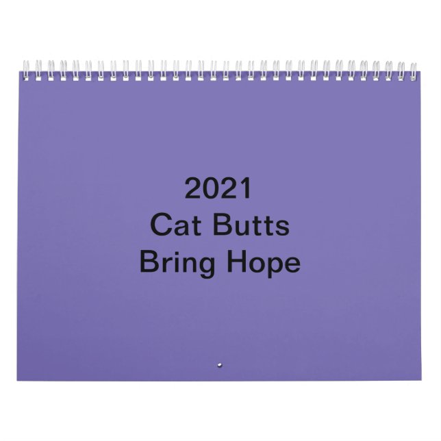 O Calendário do Bumbum Cat 2021 (Capa)