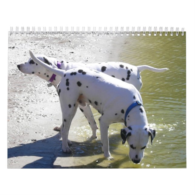 O Calendário do DogWood 2007 (Capa)