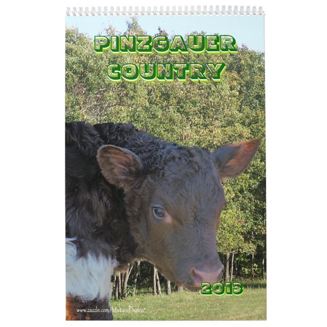 O calendário do gado de Pinzgauer 2013 personaliza (Capa)
