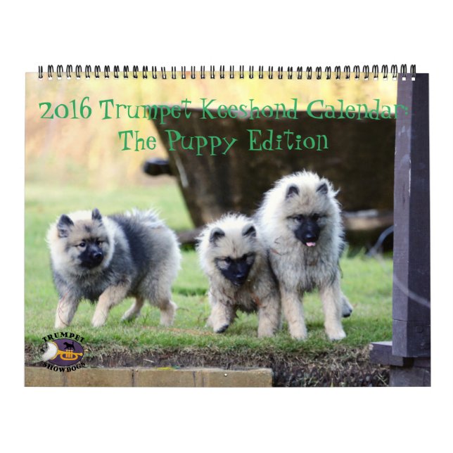 O calendário do Keeshond de 2016 trombetas: Edição (Capa)