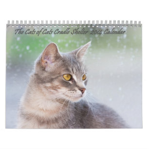 O Calendário dos Gatos do Abrigo do Berço de Gat
