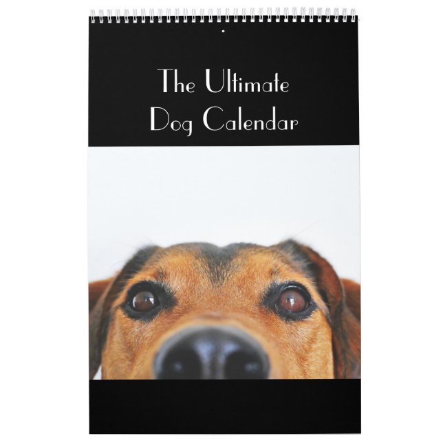O calendário final do cão (Capa)