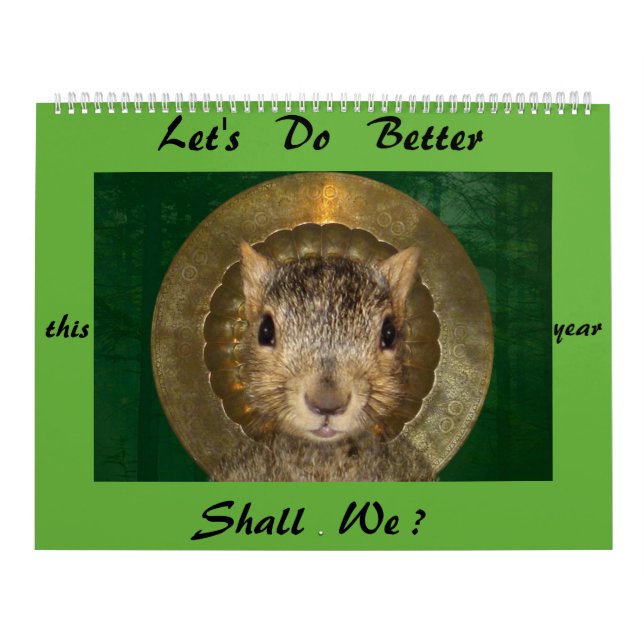 O calendário final do gambá (Capa)