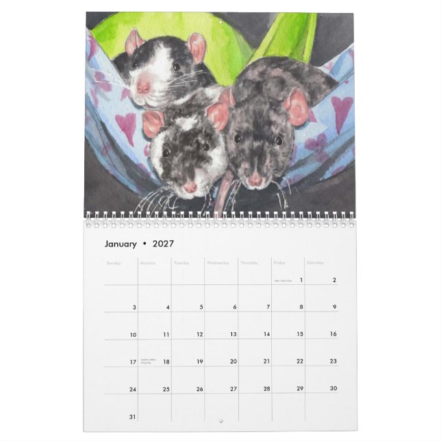 O calendário ilustrado do rato 2013 (Jan 2027)