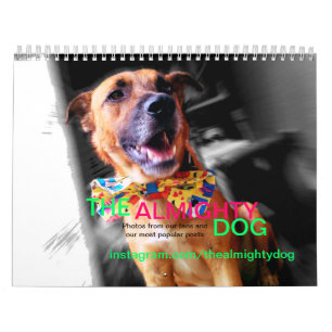 O calendário o mais bonito dos animais do cão