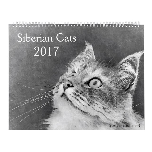 O calendário Siberian novo 2017 do gato (Capa)