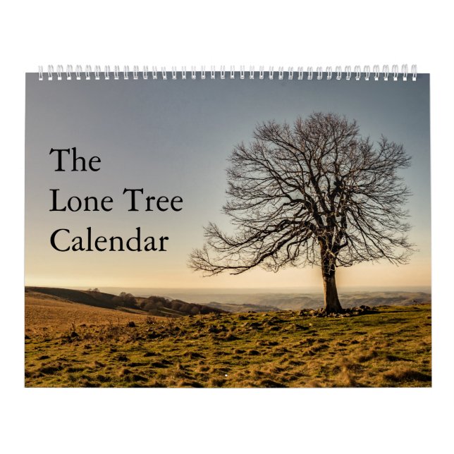 O calendário solitário da árvore (Capa)