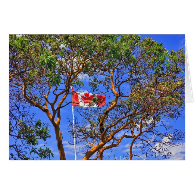 O Canadá - Cartões (Frente Horizontal)