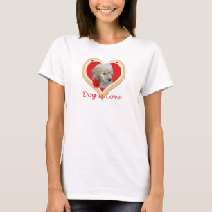 O cão é camisa das senhoras do amor