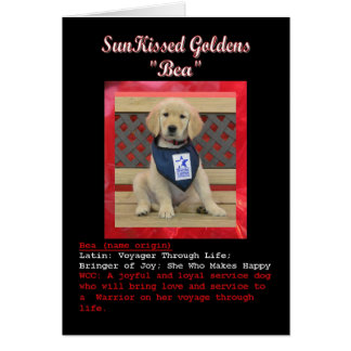 O cartão conhecido de Bea