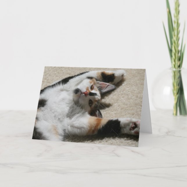 O cartão da esperança (Frente)