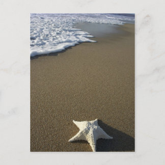 O cartão da praia