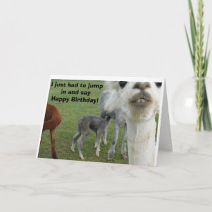 O Cartão de Aniversário Alpaca - Natureza Interrom
