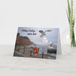 O cartão de aniversário engraçado da gaivota<br><div class="desc">As gaivota que editam "não alimentam um sinal das gaivota". Adicione o texto interno e dianteiro.</div>