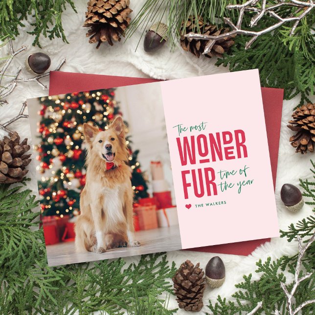 O Cartão de Férias de Natal Mais Maravilhoso para  (funny and sweet pet holiday card)