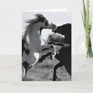 O cartão de saudação "Shaman"