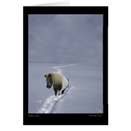 O cartão de viagem do Pôneo