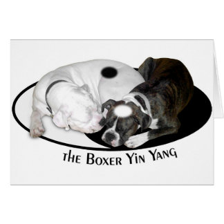 O cartão de Yin Yang do pugilista