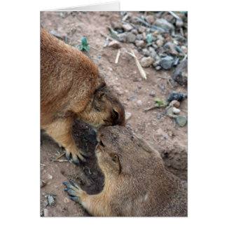 O cartão do beijo Cartão-Personaliza-o!