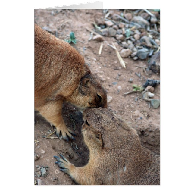 O cartão do beijo Cartão-Personaliza-o! (Frente)