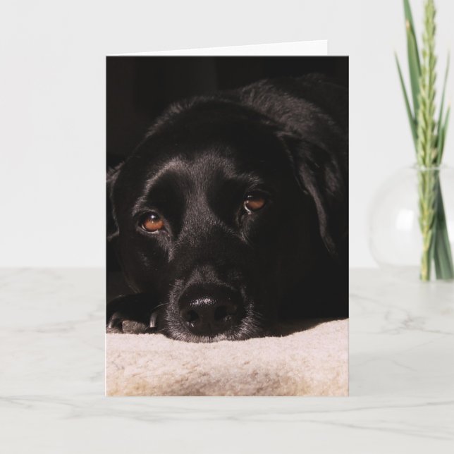 O cartão do Cole (Frente)