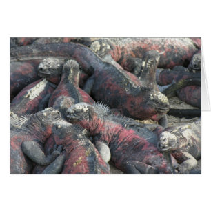 O cartão do pacto do monstro