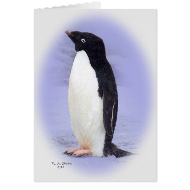 O cartão do pinguim de Ade'lie (Frente)