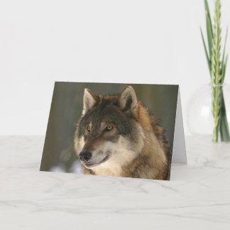 O cartão dos namorados do lobo