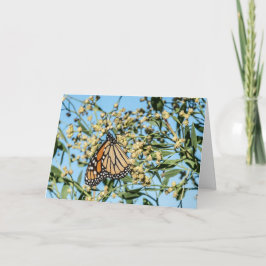 O Cartão Independente