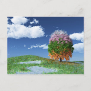 O cartão postal da árvore das estações