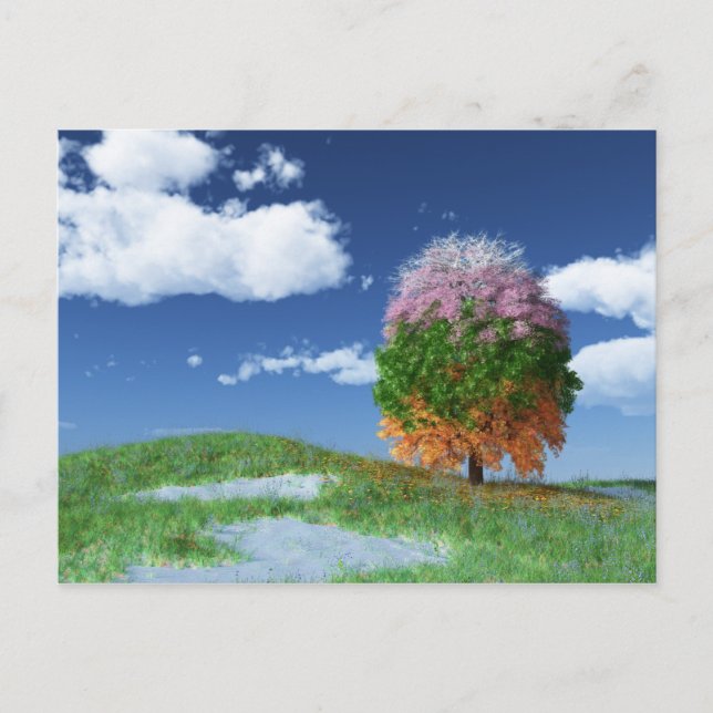 O cartão postal da árvore das estações (Frente)