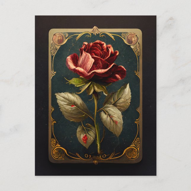O Cartão Postal da Rosa (Frente)