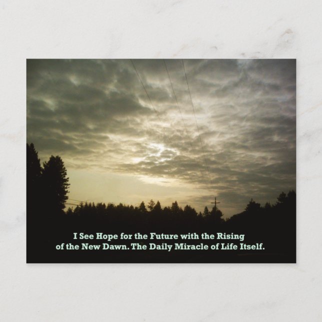 O cartão postal Daily Miracle (Frente)