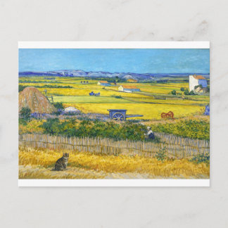 O Cartão Postal do Gato da Colheita