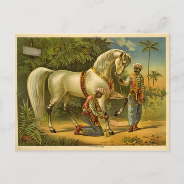 O cartão postal do Sultão (Frente)