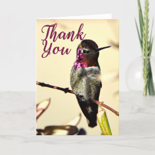 O Cartões de agradecimentos de Foto de Hummingbird