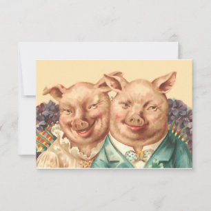 O Casal bonito de porcos
