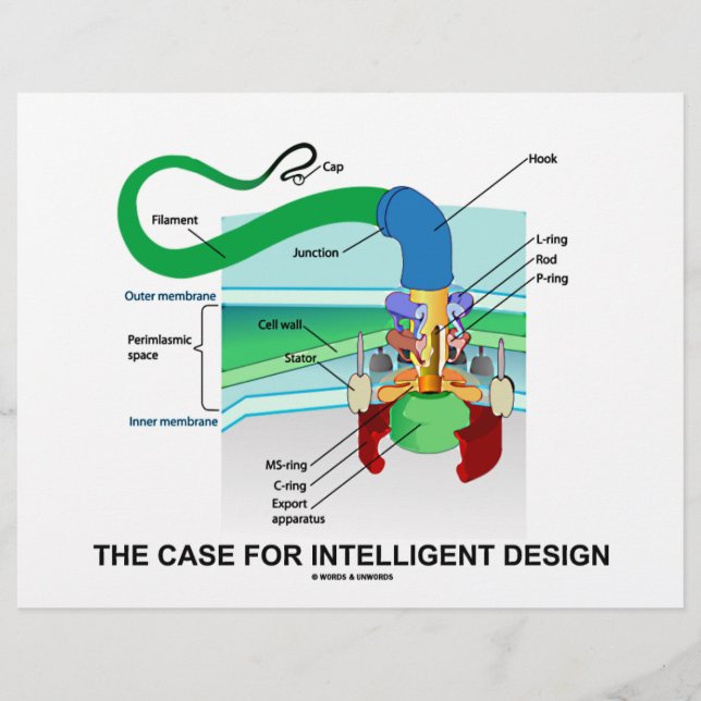 O Caso Do Design Inteligente (Flagellum) (Frente)