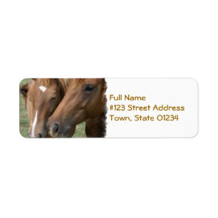 O cavalo Nuzzle a etiqueta de envio pelo correio