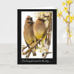 O Cedar Vaxando Pássaros Tem Bom Cartão<br><div class="desc">Pássaros tão bonitos para trazer boas saudações para amigos ou família! Nosso "Cedar Waxwing Birds Get Well Card" é destinado a ajudar um corpo a se sentir um pouco melhor. Com suas charmosas máscaras e penas amarelas manteiga, esta foto de Cedar Waxwings faz uma carta linda. O dentro e o...</div>