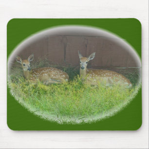 O cervo Branco-Atado Fawns Mousepad
